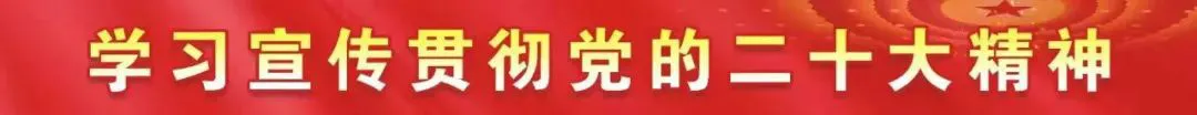 如何根据篮球比赛的不同阶段调整力量训练强度?_1