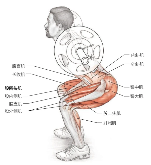 如何提升分卫的防守技巧_0