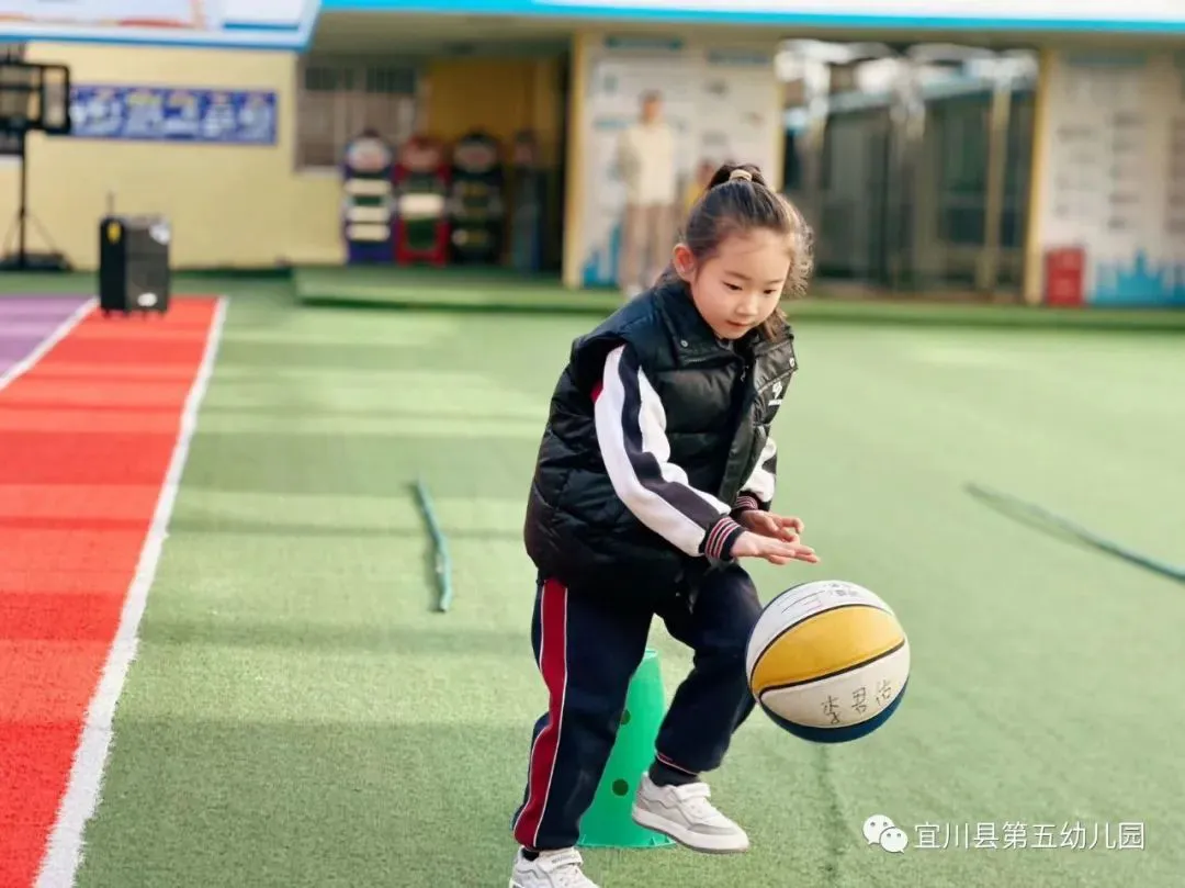 篮球训练法读后感怎么写_0