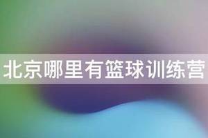 巅峰篮球训练营大兴体育中心